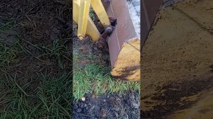 Экскаватор- погрузчик, ЭО 2626, юмз 8244.2