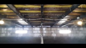 Тестируем премикс для откорма свиней. Ставим группу ( 7-я) на откорм. Свиноводство.