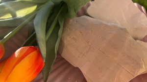 ASMR crunch clay&wet chalk_Чуйская лайт, мел Заречный в сухом и мокром виде#asmr #relax