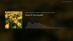 Episode 20: Flowering Bulbs