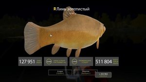 РУССКАЯ РЫБАЛКА 4 ● Мой трофейный Линь золотистый ● Рыбалка на оз. Медвежье
