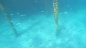 GoPro. Подводный мир. Пляж отеля Senza Grand Santana Сенза Гранд Сантана, Турция. Hero 7 Black