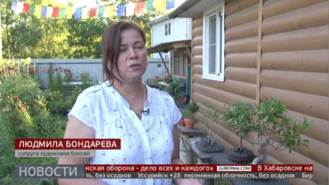 Как вырастить бонсай на даче? Новости. 11/07/2023. GuberniaTV