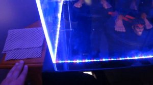 Large Acrylic 4 color LED light display case by Maybang's Collectibles.