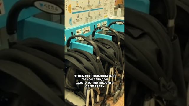 Молодые родители, воспользовались бы такой арендой? #виталиймарков #деньгивземле #арендаколясок