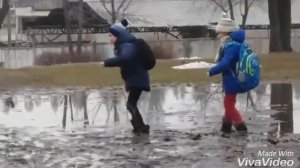 ИМ ЯВНО НЕ ПОВЕЗЛО . КУПАЮТСЯ В ГРЯЗИ !И ЗАЧЕМ ТУЖА ЛЕЗЬТЬ?