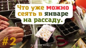 Что уже можно сеять в январе на рассаду.?