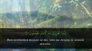Сура 66 ат Тахрим - успокаивающий Коран для детей и взрослых