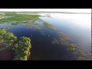 Водоёмы Северо-Казахстанской области