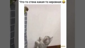 Что-то стена какая-то неровная