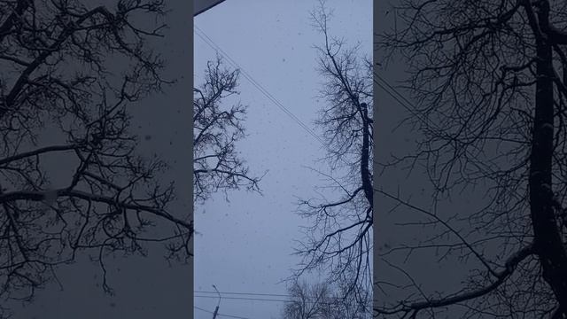 зима) Танец снежинок ❄️❄️❄️ Е.Дога-вальс