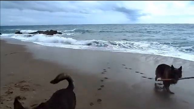 Прогулка у моря, красивое небо и море, Фуэнхирола, Испания, 25 октября 2015 г