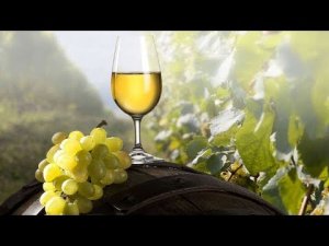 Приготовление белого вина. Вино из Цитронного Магарача. Часть 5. Финал