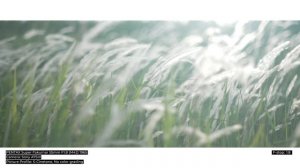 PENTAX Super-Takumar 55mm F1.8 (M42) 1965 | SONY A7SIII | SAYAMA LAKE