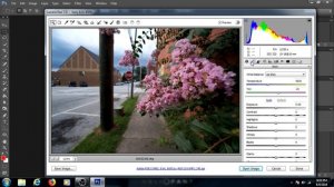 Adobe Camera RAW | How To Open A RAW File & put sauce on it