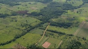 Мои видео съемки Парагвая 2009г. Природа