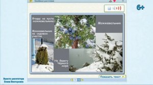 Зима в мире растений