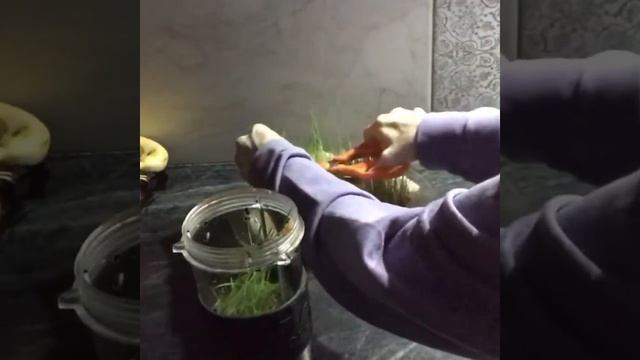 ПП/ Льняная каша и СМУЗИ из пророщенной пшеницы/Мой завтрак/ смотреть онлайн