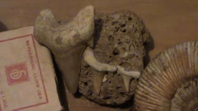 Окаменелости смотреть онлайн