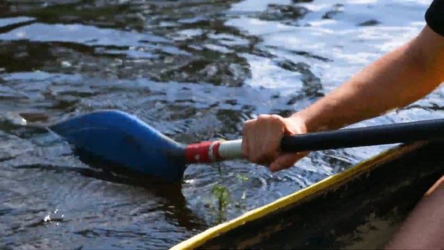 Лето - это жизнь! смотреть онлайн