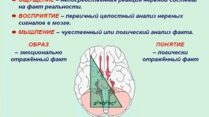 Теория познания. Философия. Урок 65