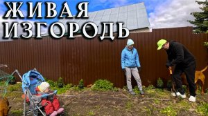 Создаём 1-й ландшафтный дизайн на участке. Понял, как буду заливать пол навеса у гаража