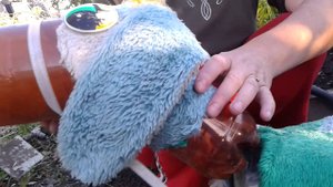 Ослик И-а из пластиковых бутылок .