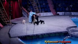 ЦИРК!!! ЦИРК!!! ЦИРК на воде 2 часть. СОЧИ