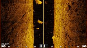 NEW!! Lowrance S3100 Sonar Module - Breathing New Life to HDS Live & Elite FS