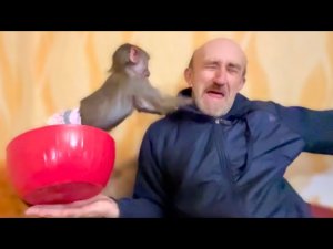 Влад пришел домой и сделал Люське ЛЕТАЮЩУЮ ТАРЕЛКУ, а она ему ЦЕЛОЕ ПРЕДСТАВЛЕНИЕ)))