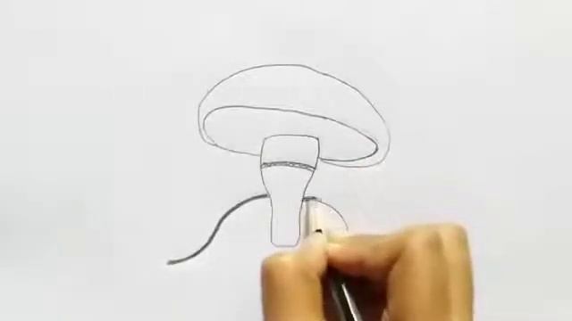 how to draw agaricus | how to draw diagram of agaricus | how to draw structure of agaricus смотреть онлайн
