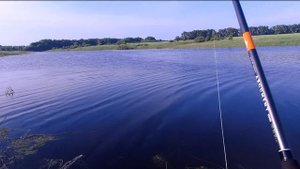 Спиннинг для больших приманок и тяжелого джига - Обзор Narval Argument 82HH