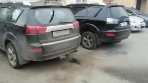 CP-CLUB.RU Регенерация FAP-фильтра (DPF) Mitsubishi Outlander XL, Citroen C-Crosser, Peugeot 4007