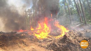 Вы жжете граждане! Поаккуратнее! Доброе утро. Фрагмент выпуска от 28.08.2020