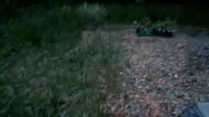 Гравийные дорожки и сорняки