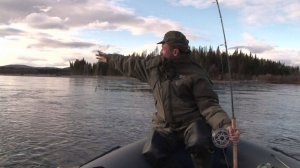 Ленок пойман на блесну Боргояковка большая белая