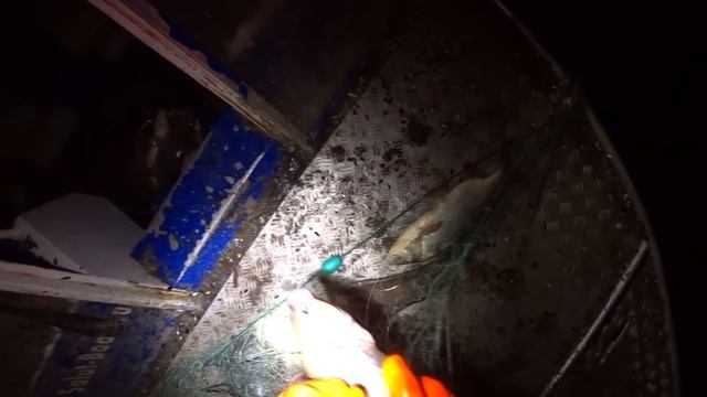 Полные СЕТИ Рыбы / Ночная Рыбалка Сплавной Сетью! смотреть онлайн