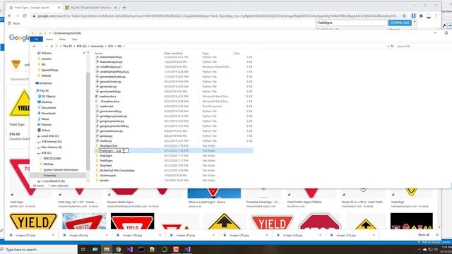 Easy Step by Step Neural Net Image Classification using C#, Visual Studio and ML.Net Model Builder смотреть онлайн