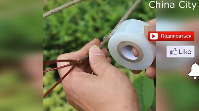 Топ 5. Лучшие садовые секаторы с АлиЭкспресс - рейтинг 2022 | Какой садовый секатор выбрать?
