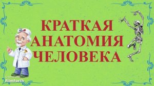 Краткая анатомия человека - рассказ Антона Чехова.