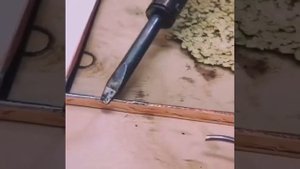 Картина из сухоцветов под стеклом