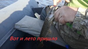 Вот и лето пришло.mp4