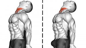 Упражнения Кегеля для укрепления мышц таза