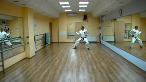 Каратэ. Ката на Зелёный пояс.