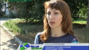 Повреждена корневая система более десятка тополей