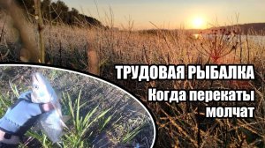 Когда думаешь, что понимаешь повадки рыбы, а она ведет себя непредсказуемо.
