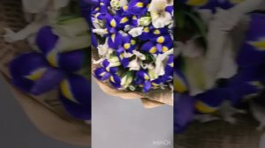 Букет из ирисов и альстромерий