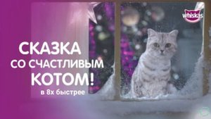 Whiskas — «Новогодние волшебники» в 8х быстрее | PRO Рекламу