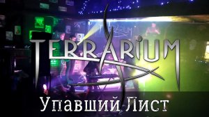 TerrariuM - Упавший Лист [Серпухов, 27.02.2021]