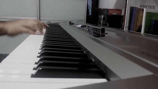 Freddie Mercury - There Must Be More To Life Than This (Piano Cover) смотреть онлайн